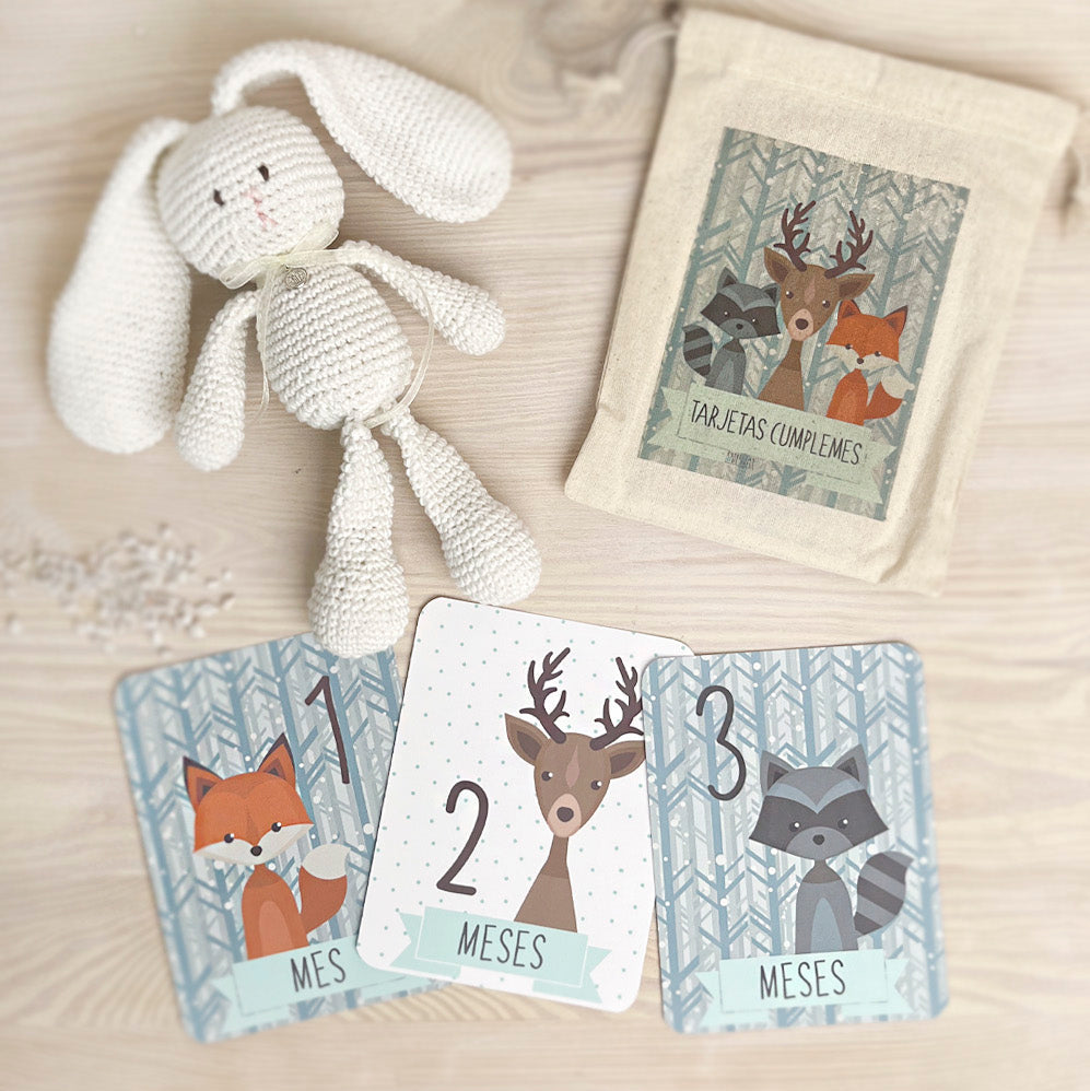 Babybox Mi primer año
